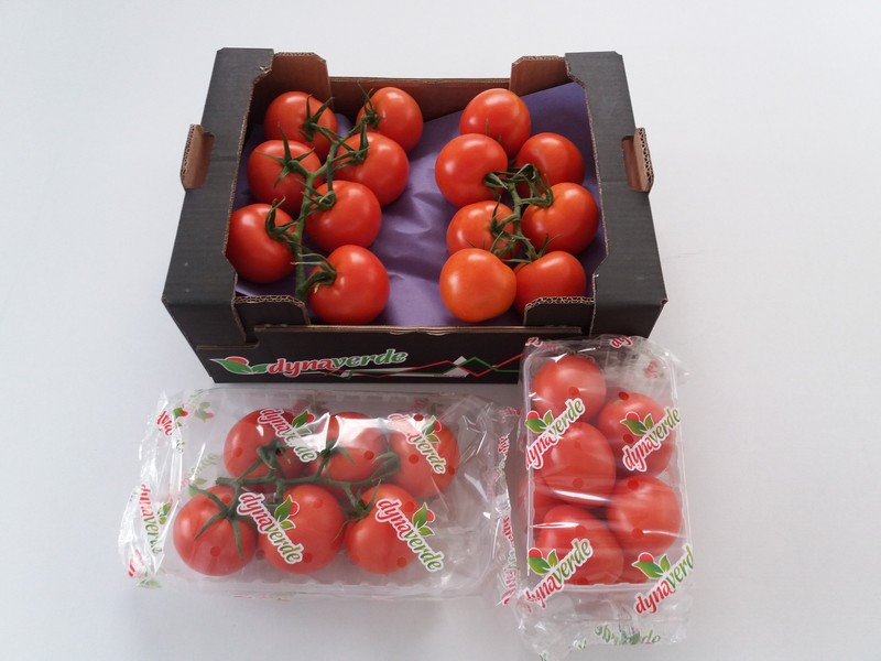 TOMATES