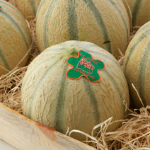 Melón