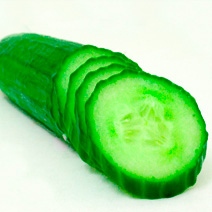 Cucumber